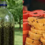 Cara Buat Perangkap Lalat Guna ‘Kulit Pisang’, Mudah Tapi Hasilnya Penuh Satu Botol