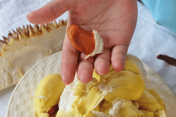 cara hilangkan bau durian