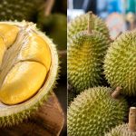 Cara Pilih Durian Yang Sedap Dan Banyak Isi, Ramai Rupanya Masih Buat Silap Nombor 2