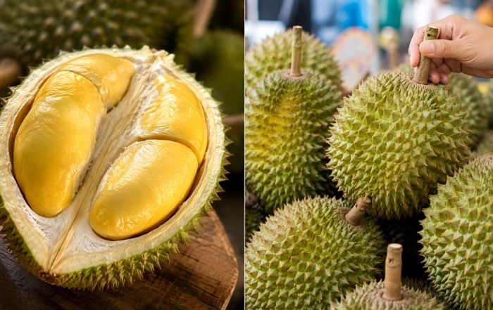 cara pilih durian