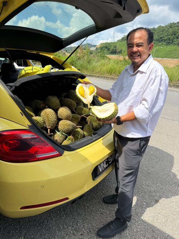 borong durian