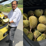 Cikgu Borong 100kg Durian Musang King Di Gua Musang, Selamba Sumbat Dalam Volkswagen Beetle!