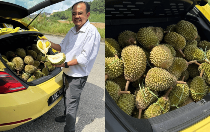 borong durian