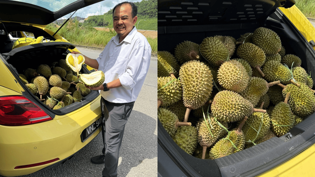borong durian