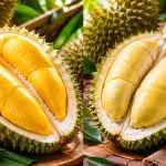 Durian Malaysia Vs Thailand: Mana Lebih Sedap? Ini 10 Perbezaan Yang Selalu Buat Peminat Durian Berdebat