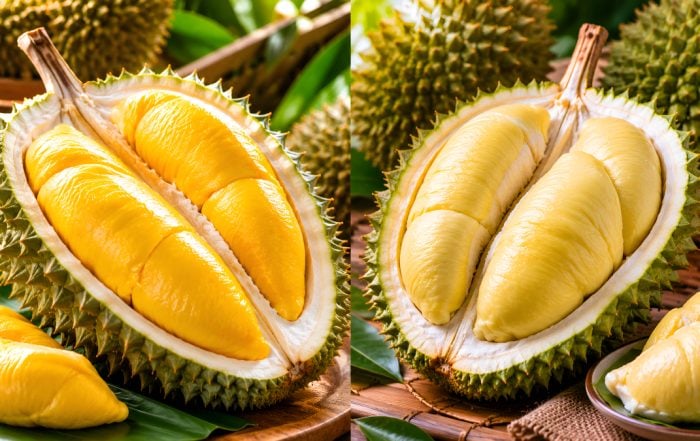 durian malaysia vs thailand