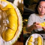 Durian Musang King Malaysia Dipuji ‘Perfecto’, Lelaki Ini Akui Versi Indonesia Masih Belum Mampu Tandinginya