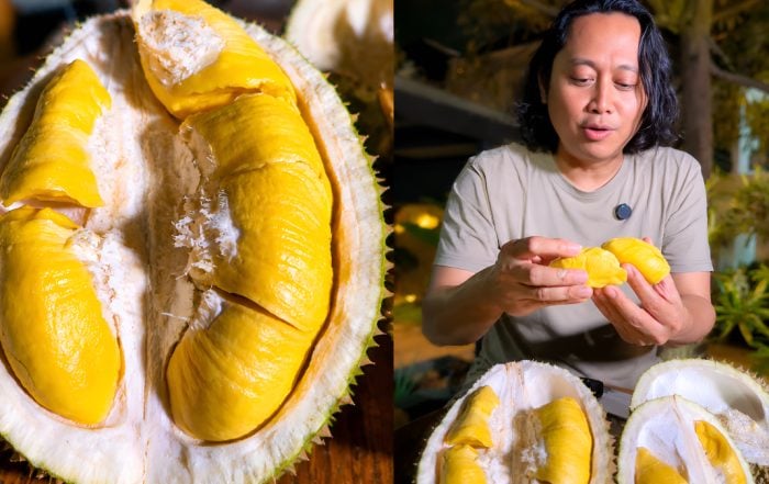 durian musang king malaysia