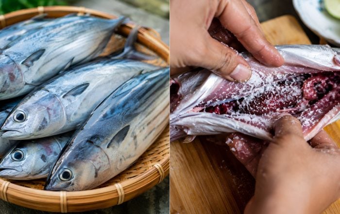 ikan tongkol gatal