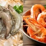 5 Jenis Udang Dari Thailand Disekat Masuk Malaysia, Rupanya Ada Yang Selalu Kita Makan!