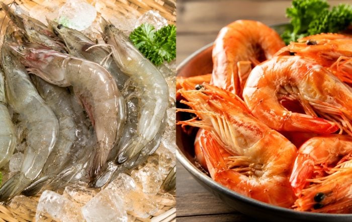 jenis jenis udang