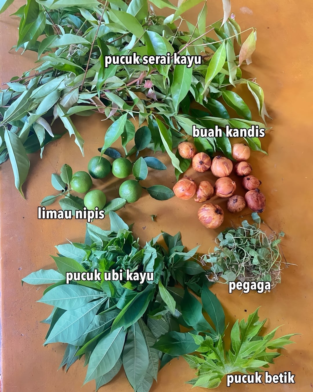 jenis ulam kampung