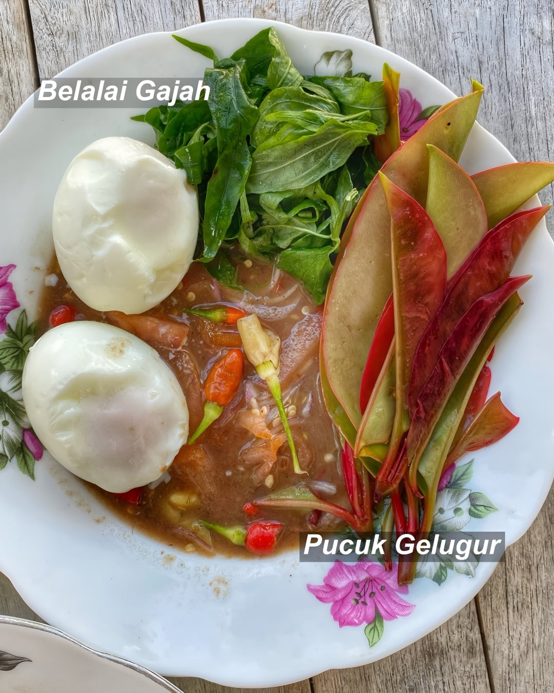 jenis ulam kampung