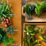 Lebih 20 Jenis Ulam Kampung Rare & Popular, Ramai Tak Sangka Ada Yang Masih Wujud Hari Ini