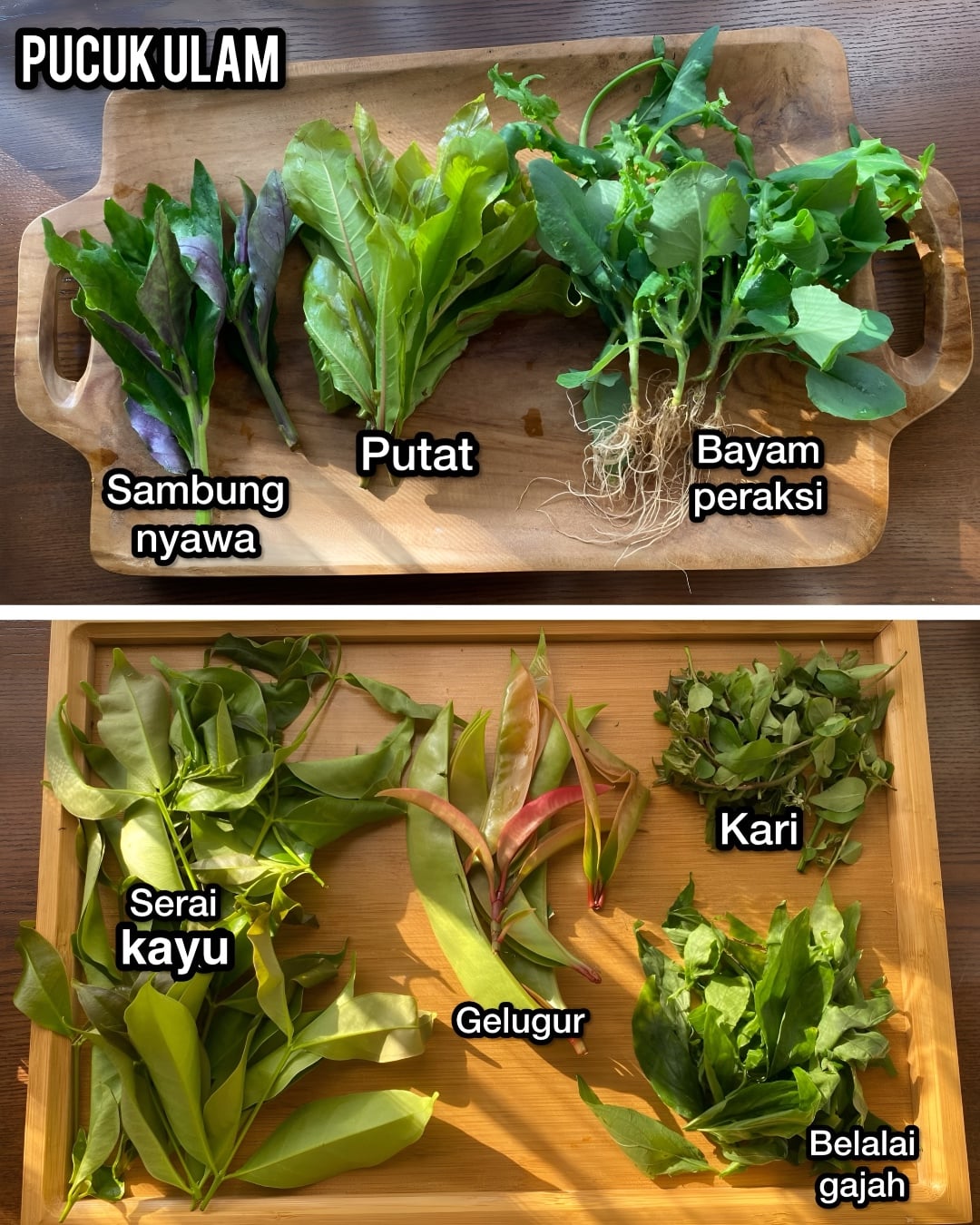 jenis ulam kampung