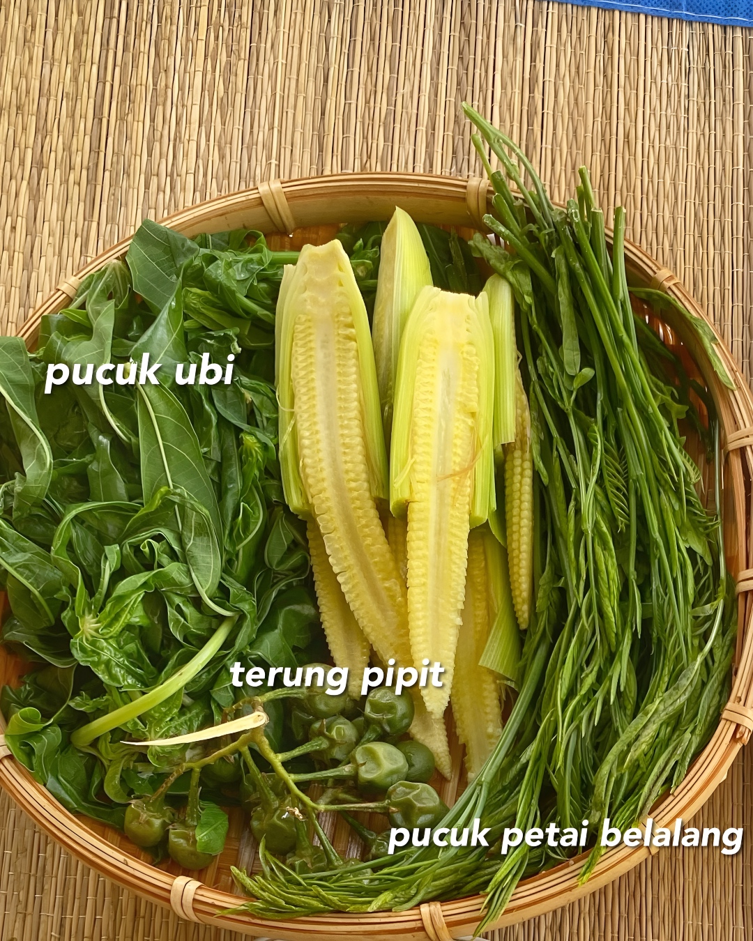 jenis ulam kampung