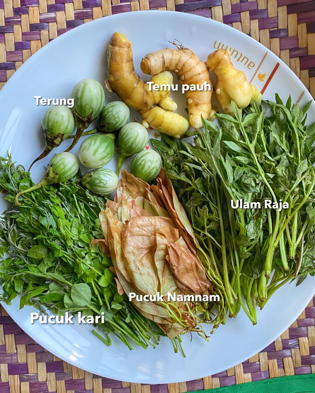 jenis ulam kampung