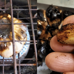Wanita Kongsi Sudah Bertahun Makan Bawang Putih Bakar, Petua Berkesan Jika Batuk Tak Hilang-Hilang!