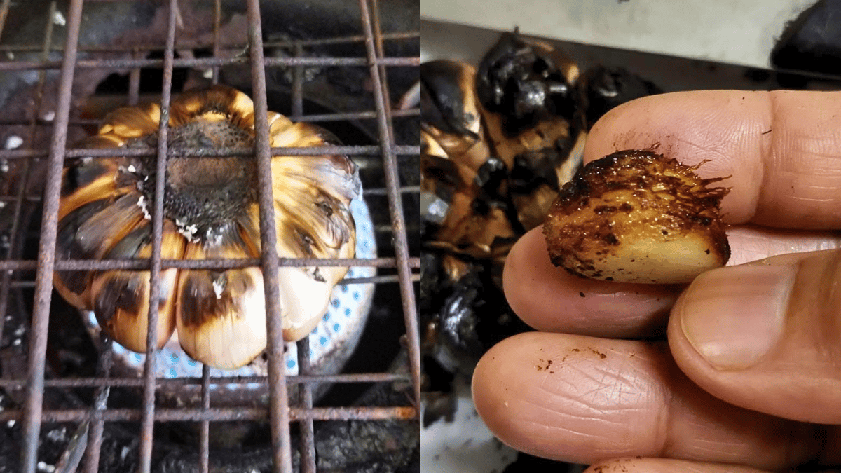 khasiat bawang putih bakar