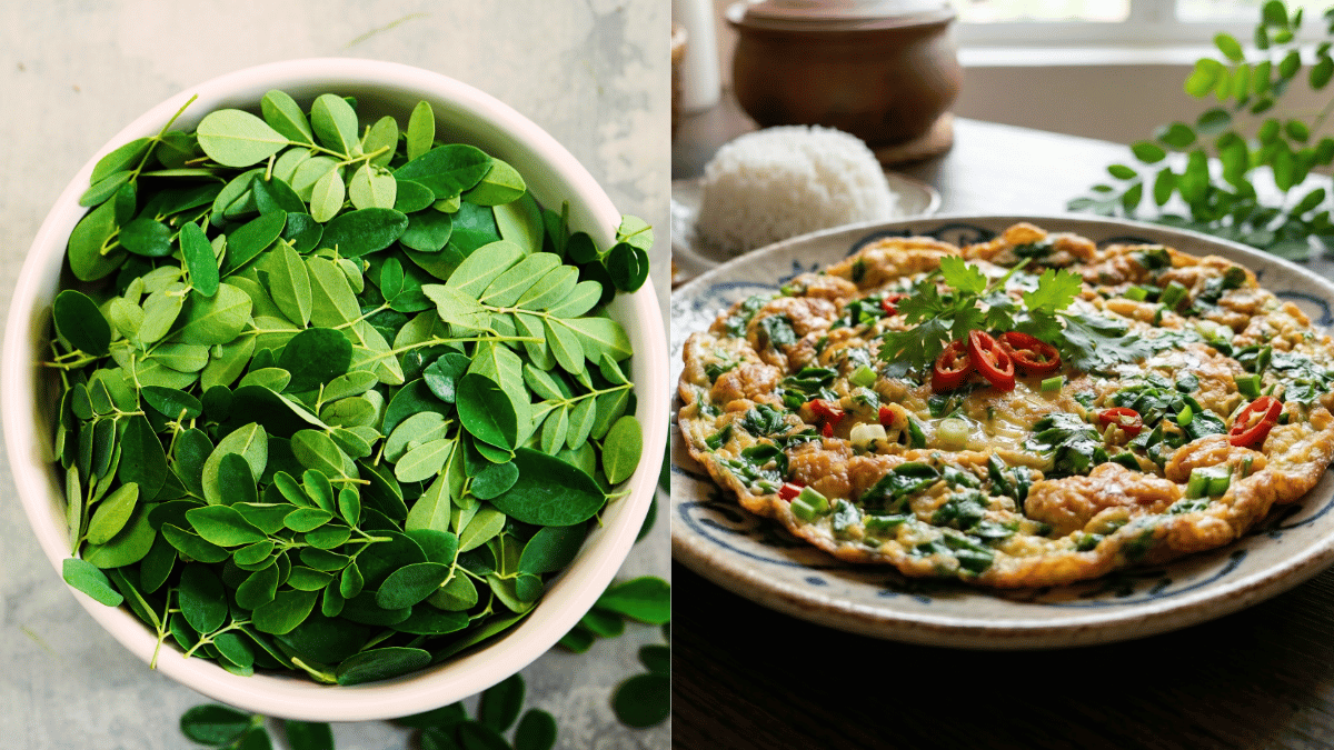 khasiat daun moringa