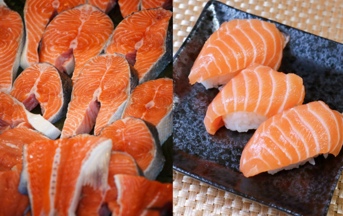 khasiat ikan salmon