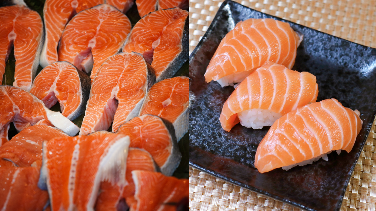 khasiat ikan salmon