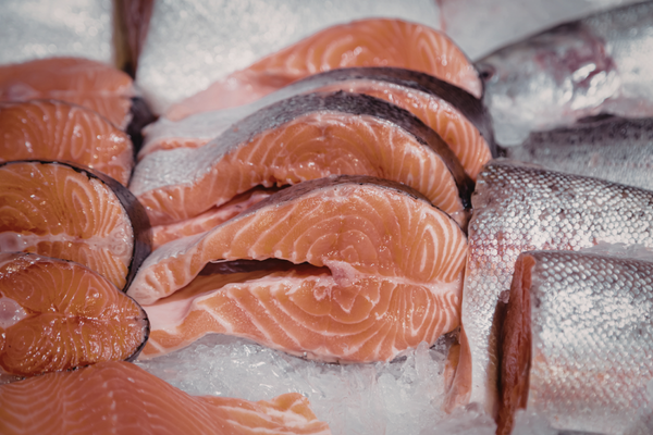 khasiat ikan salmon