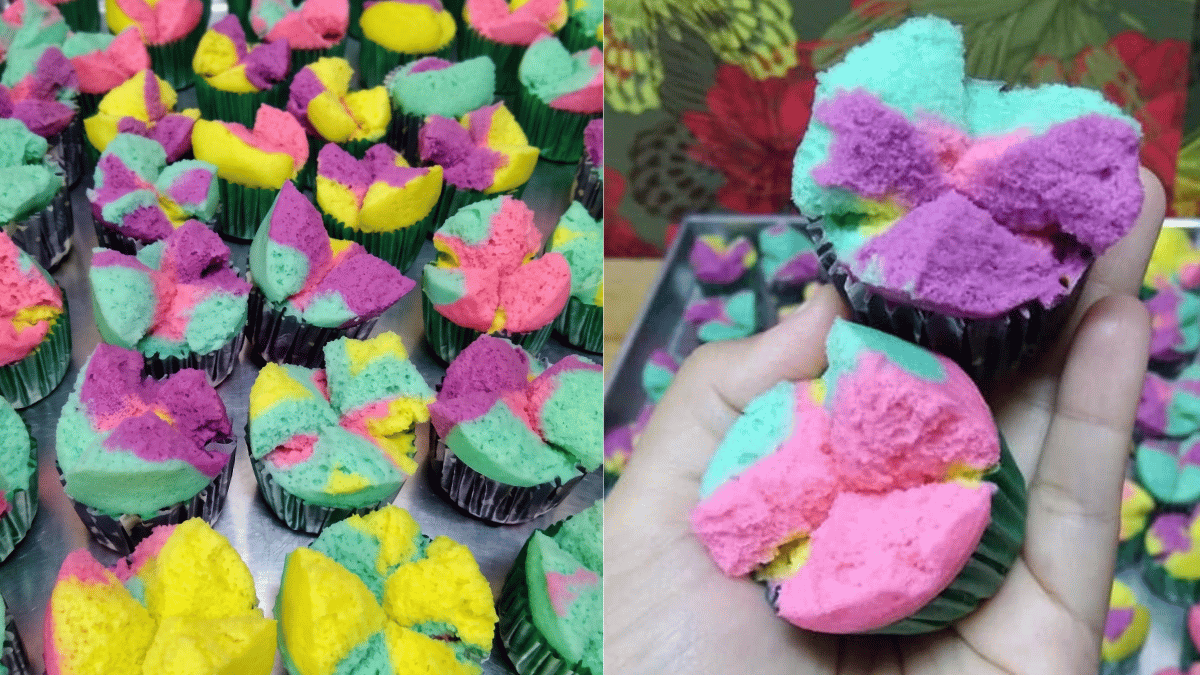 apam unicorn
