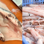 Taktik Sumbat Ikan Dalam Sotong Sebab Nak Tipu Berat Timbangan, Peniaga Pasar Ini Buat Netizen Naik Angin!