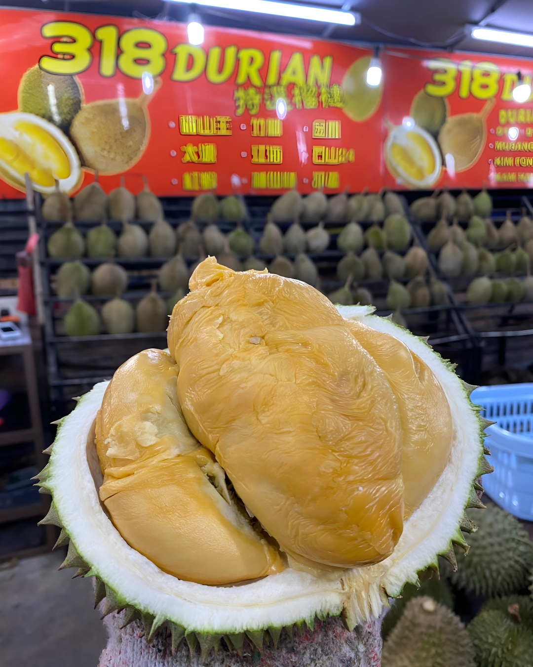 tempat makan durian