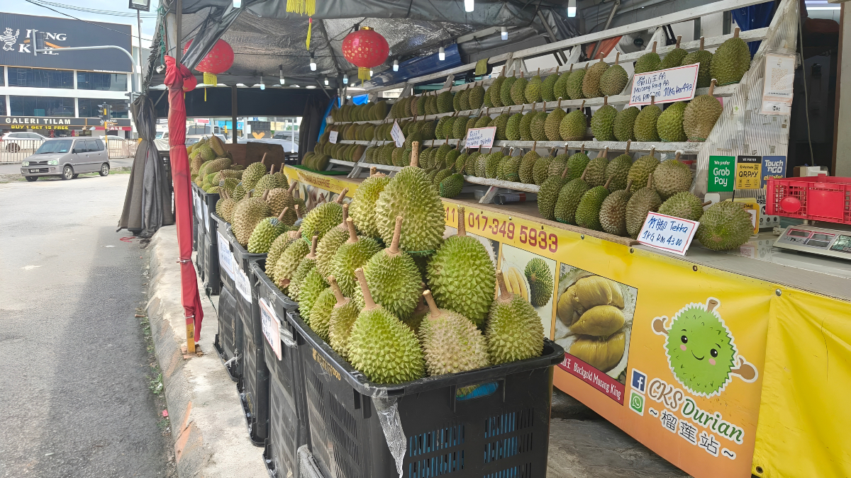 tempat makan durian