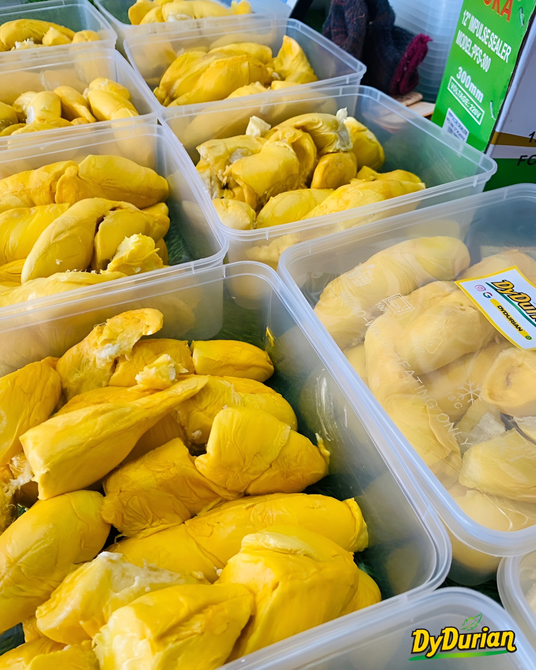 tempat makan durian