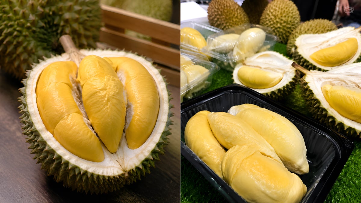 tempat makan durian