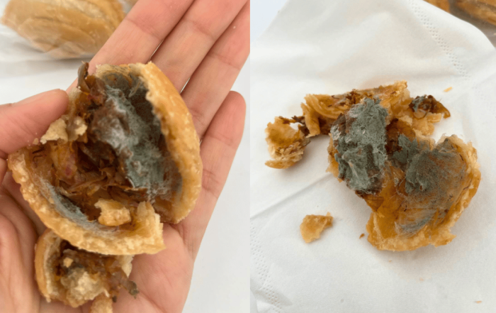 karipap berkulat