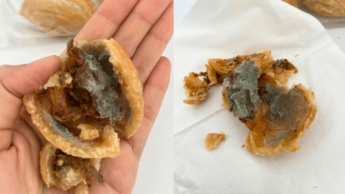 karipap berkulat