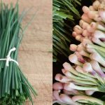 Beza Daun Bawang & Daun Kucai, Ini Cara Mudah Kenal Pasti Supaya Tak Tersalah Beli