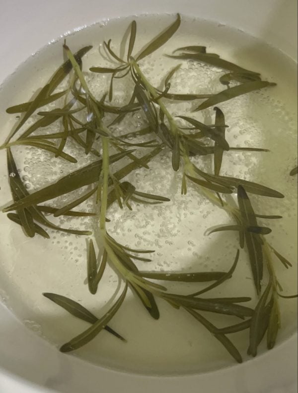daun rosemary