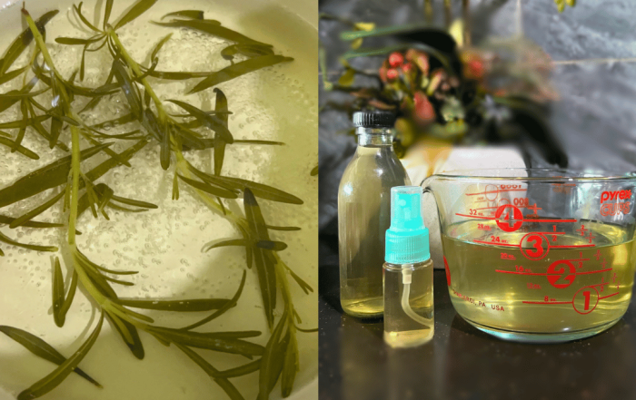 daun rosemary