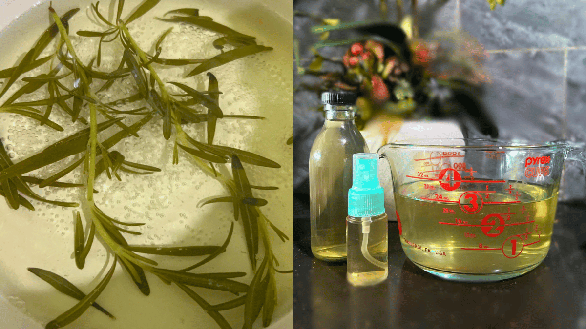 daun rosemary