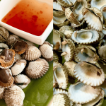 Cara Masak Kerang Rebus Supaya Kekal Juicy & Manis, Isi Pun Mudah Tertanggal Dari Kulit