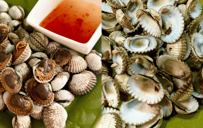 cara masak kerang rebus