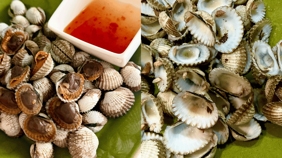 cara masak kerang rebus
