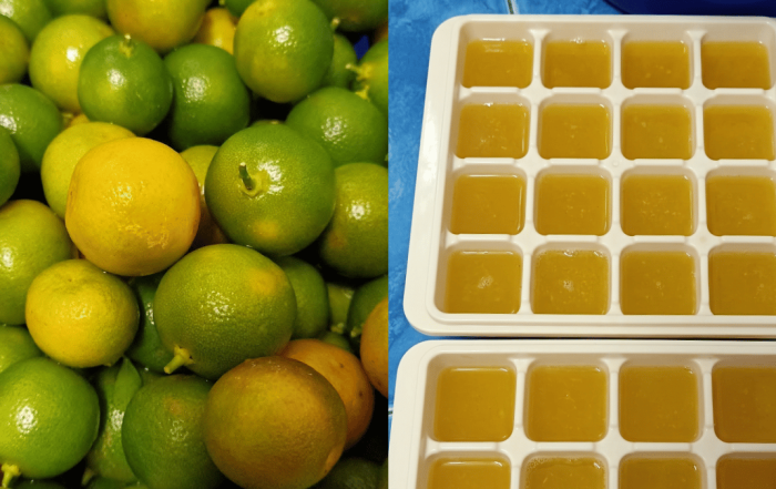 buah limau kasturi