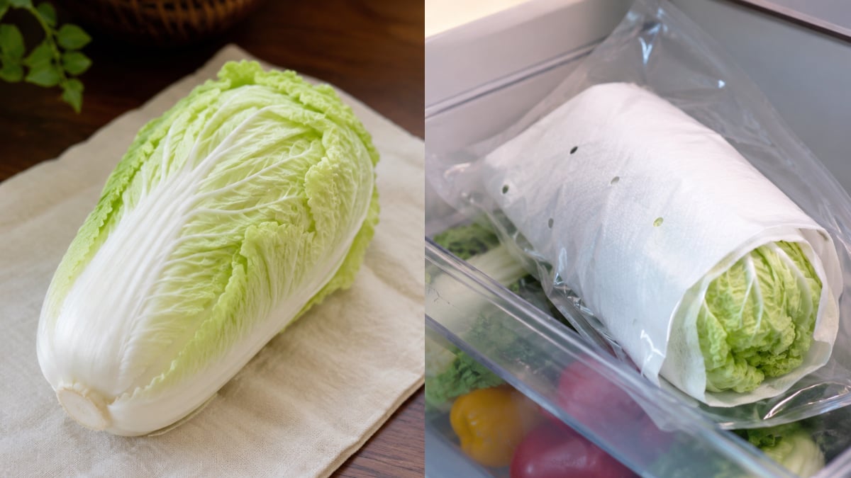 Ramai Tak Tahu Cara Simpan Sawi Putih Ini, Patutlah Sayur Cepat Layu Dan Rosak