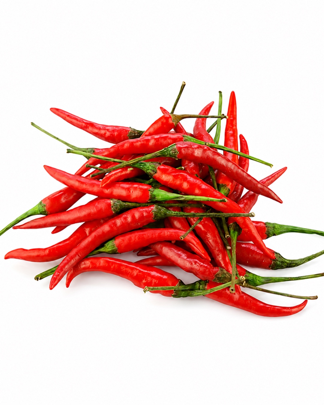 jenis cili padi