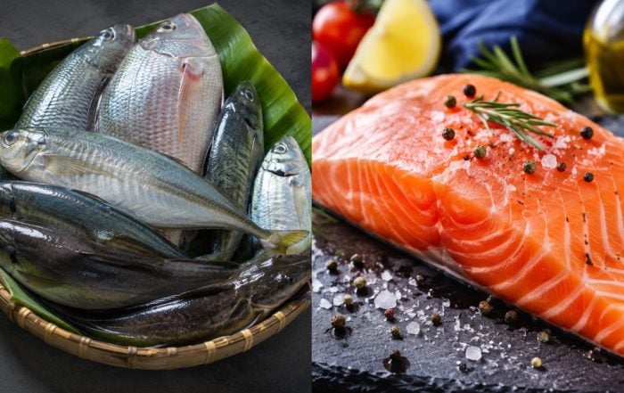jenis ikan di malaysia