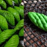 Kuih Peria Ini Buat Ramai Kagum, Hanya Guna Jaring Buah Untuk Dapatkan Corak Cantik