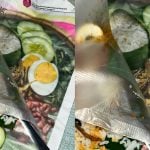 Nasi Lemak Bungkus Buat Wanita Ini Teruja, Kaut Kaut Guna Sudu Ingat Dapat Telur Lebih…Rupanya Ilusi!