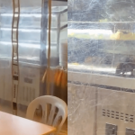 “Dah Habis Makan, Tiba-Tiba Nampak…”– Pelanggan Dakwa Tikus Besar Berkeliaran Dekat Bekas Makanan Sebuah Restoran