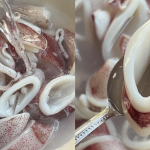 Petua Sotong Tak Kecut Selepas Masak, Rupanya Kena Buat Satu Langkah Mudah Ini Dulu
